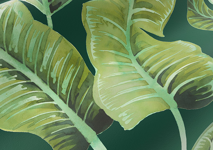 Nicobar, Viridian - Roman Blind - Image 4